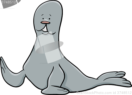 Image of seal animal cartoon illustration