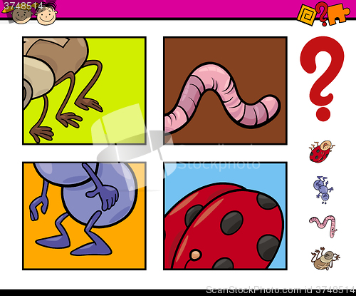 Image of preschool task with insects