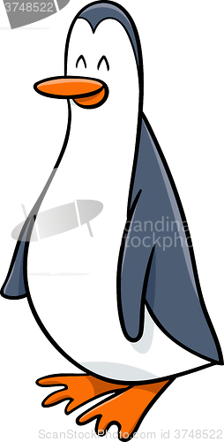 Image of penguin bird cartoon
