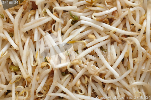 Image of Bean sprouts background