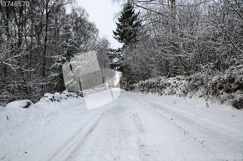 Image of Snowy country road