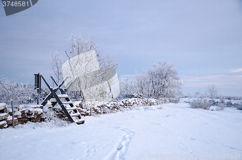 Image of Winterland with a stile at a stone wall