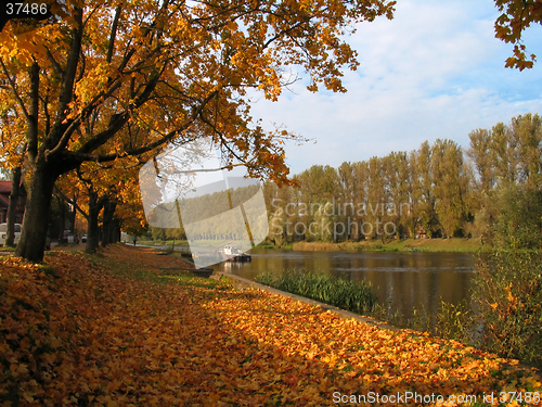 Image of autumn view at the river in tartu, estonia