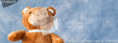 Image of Lovely Teddy Bear