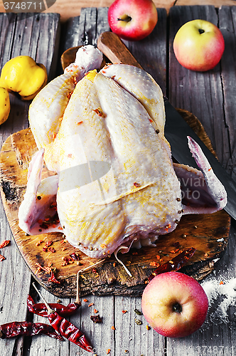 Image of Chicken in spices and seasonings