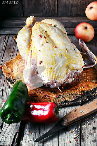 Image of Chicken in spices and seasonings