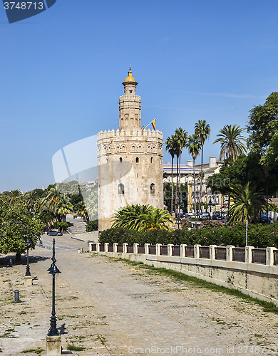 Image of Tower of Gold (Torre del Oro) in Seville, Spain