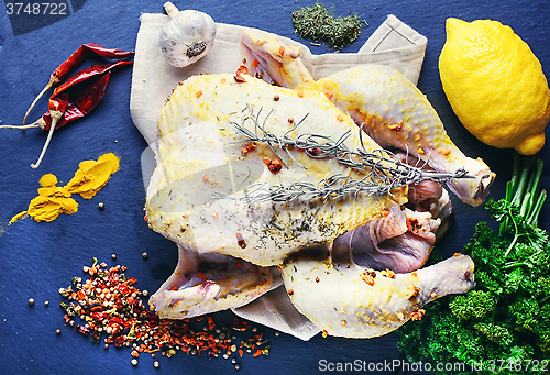 Image of Chicken in spices and seasonings