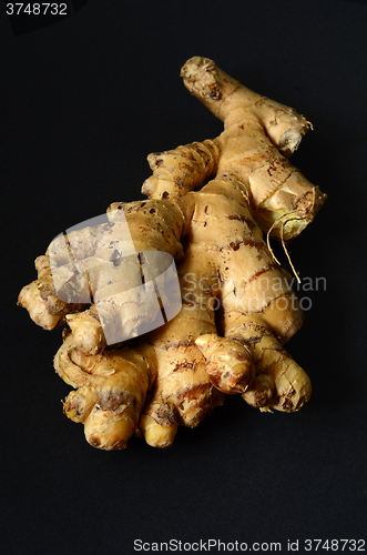 Image of Ginger root closeup 