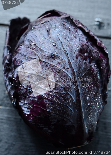 Image of Red cabbage on dark background