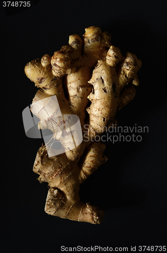Image of Ginger root closeup 