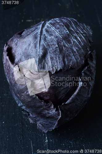 Image of Red cabbage on dark background
