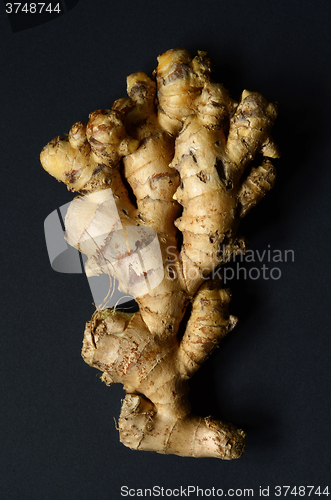 Image of Ginger root closeup 