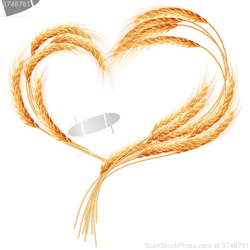 Image of Wheat ears Heart isolated on the white. EPS 10