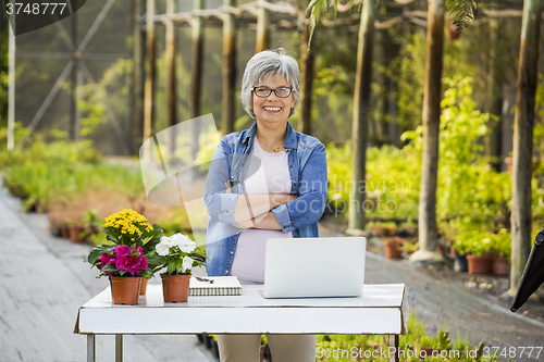 Image of Working in a flower shop