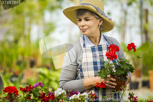 Image of A day in a green house