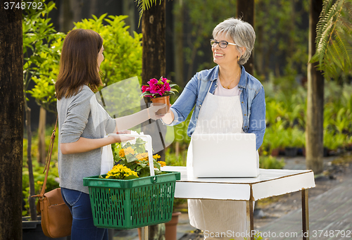 Image of Worker and customer in a green house