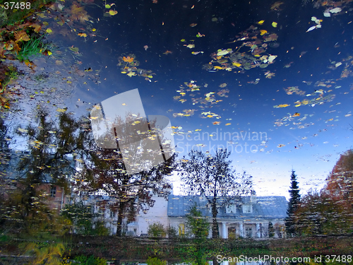 Image of reflection of sky in pond in botanic garden, Tartu, Estonia