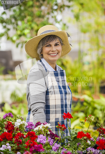 Image of A day in a green house