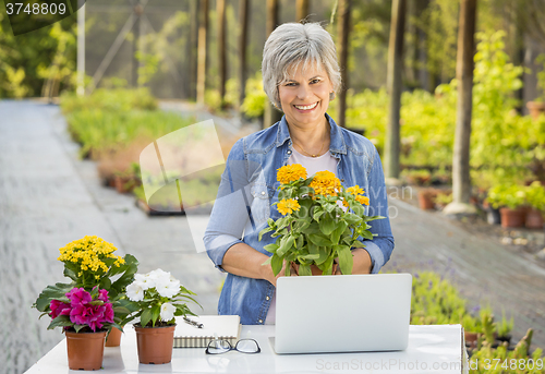 Image of Working in a flower shop