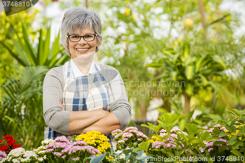 Image of A day in a green house