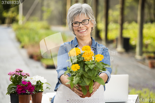 Image of Working in a flower shop