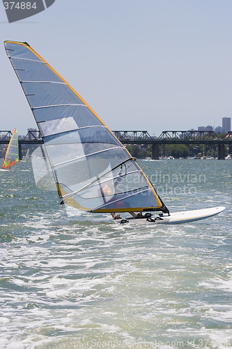 Image of Sailboarders
