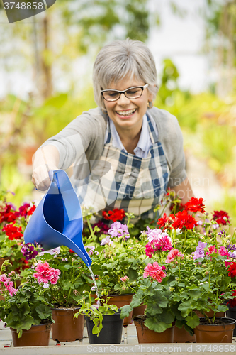 Image of Mature woman watering flowers