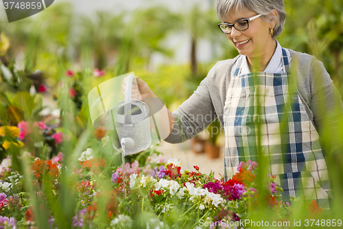 Image of Mature woman watering flowers