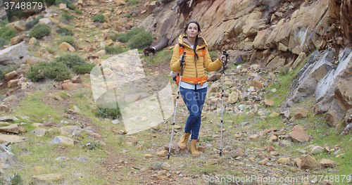 Image of Fit healthy young woman hiking on a trail