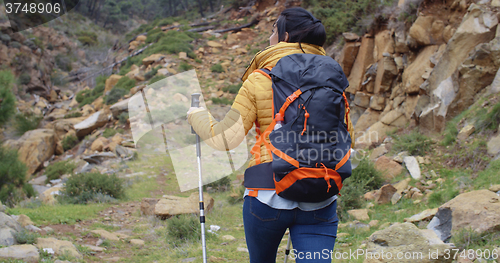 Image of Active fit young woman on a hiking trail