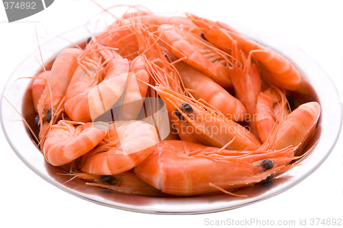 Image of Prawns