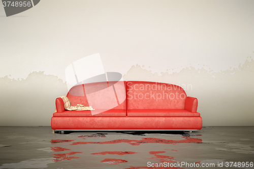 Image of water damage sofa