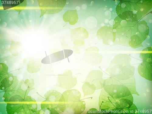 Image of Green leaves background. EPS 10