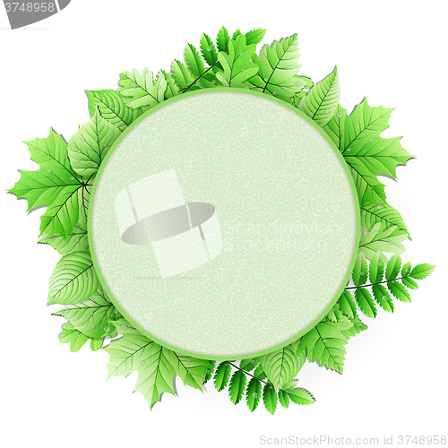 Image of Fresh green leaves vector border. EPS 10