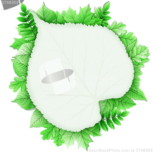 Image of Fresh green leaves vector border. EPS 10