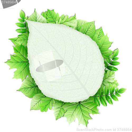 Image of Fresh green leaves vector border. EPS 10