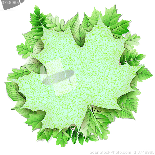 Image of Fresh green leaves vector border. EPS 10