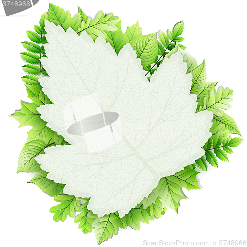 Image of Fresh green leaves vector border. EPS 10
