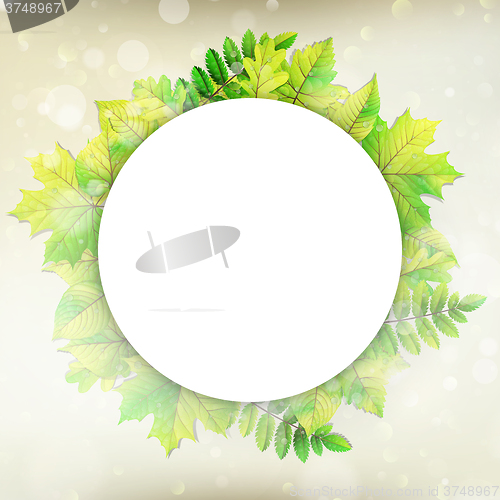 Image of Fresh green leaves vector border. EPS 10