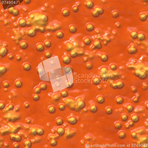 Image of Lichen and fungi on petri dish