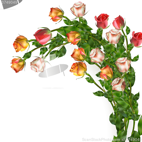 Image of Celebration background with flowers. EPS 10