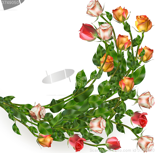 Image of Celebration background with flowers. EPS 10