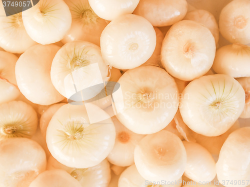 Image of Retro looking Onions