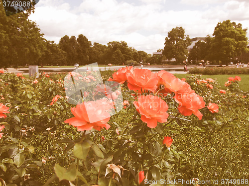 Image of Gardens in Stuttgart Germany vintage