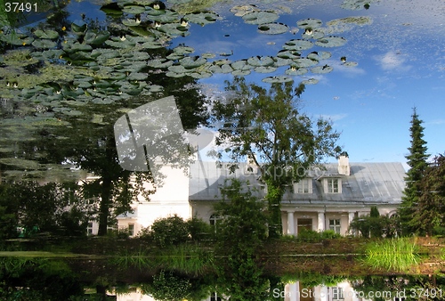 Image of reflection of nature in pond of botanic garden in tartu, estonia
