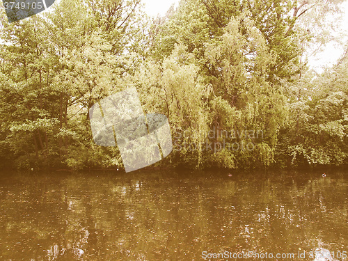 Image of Retro looking Weeping Willow