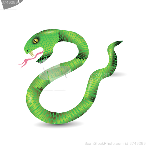 Image of Cartoon Green Snakes