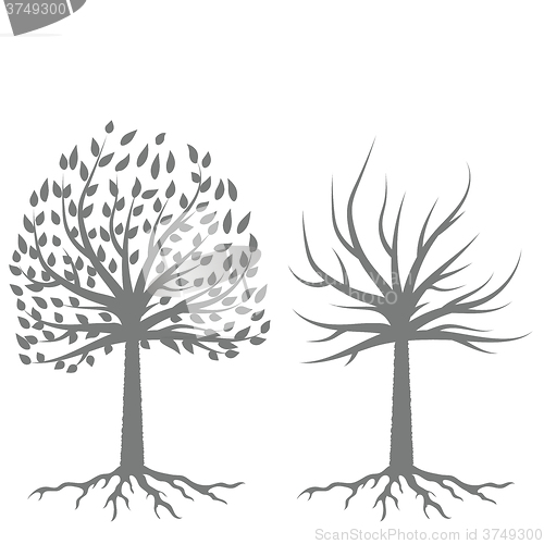 Image of Two Trees Silhouettes