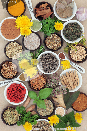 Image of Spices and Herbs